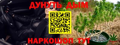 гашик Шебекино
