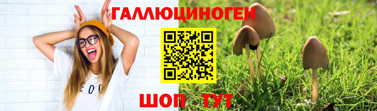 Галлюциногенные грибы MAGIC MUSHROOMS Сызрань