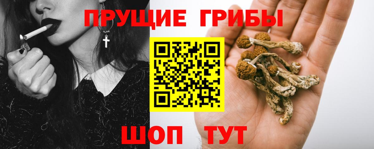 Сызрань  Галлюциногенные грибы мицелий  Вход с VPN  Псилоцибиновые грибы мухоморы 